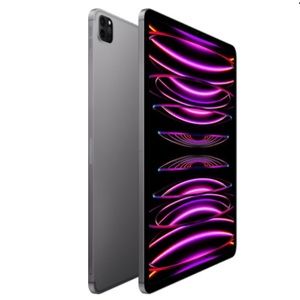 iPad Pro 12.9 inch (Model A2229) 256GB Wifi Space Gray
